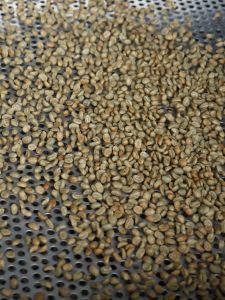 Clasificación de tamaño de grano de café Madre Niebla